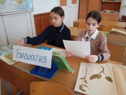 IMG 20250220 113635 842