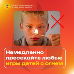 IMG 20250624 131604 088